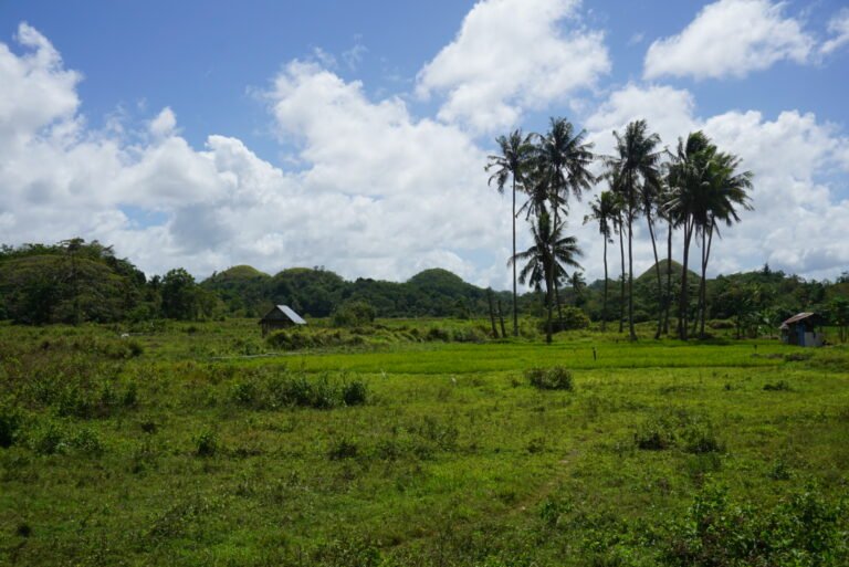 Bohol